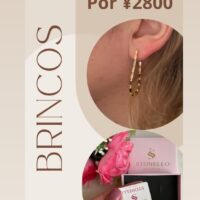 Brinco argola pedras