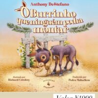 Livro infantil O burrinho que ninguém podia montar