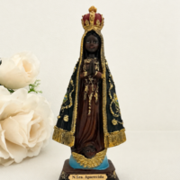 Imagem Nossa Senhora Aparecida 12,5 cm