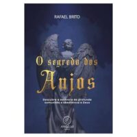 Livro O segredo dos anjos